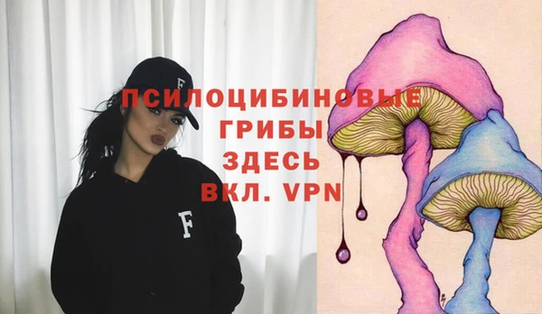 герыч Абаза