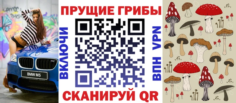 Псилоцибиновые грибы GOLDEN TEACHER  Мостовской 